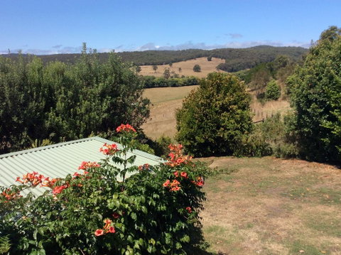 Forrest Blue Wren Studio - Accommodation Sunshine Coast 1