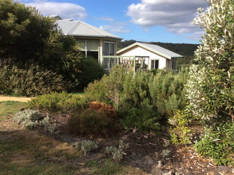 Forrest Willy Wagtail Studio - Accommodation Sunshine Coast 0