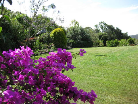 French Cottage & Loft - Accommodation Sunshine Coast 3
