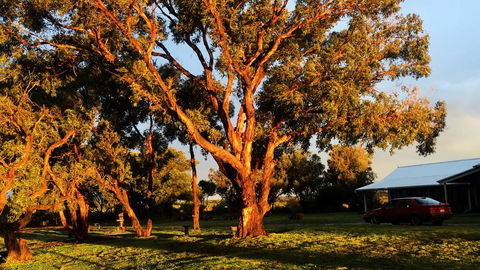 French Island Cottage - Accommodation Sunshine Coast 1
