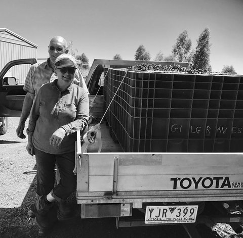 Gilgraves Vineyard Farmstay - Accommodation Sunshine Coast 2