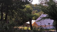 Book Zeehan Accommodation Vacations Accommodation Sunshine Coast Accommodation Sunshine Coast