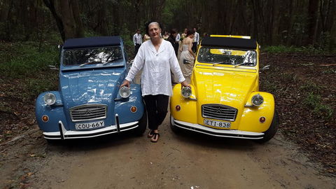 Glocca Morra Cottage - Accommodation Sunshine Coast 3