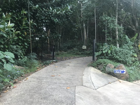 Golden Sunbird - Accommodation Sunshine Coast 1