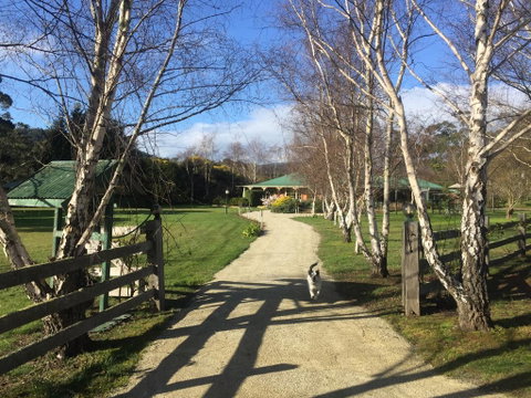 Green Gables B&B - Accommodation Sunshine Coast 0
