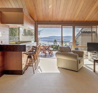 Grey Kangaroo- On Lake Jindabyne foreshore - Accommodation Sunshine Coast
