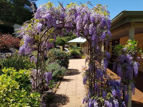 Gumtree House Montville - Accommodation Sunshine Coast 0
