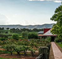 Hanging Tree Wines - Accommodation Sunshine Coast