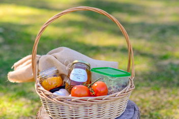 Heggy's Cottage with Accommodation Sunshine Coast