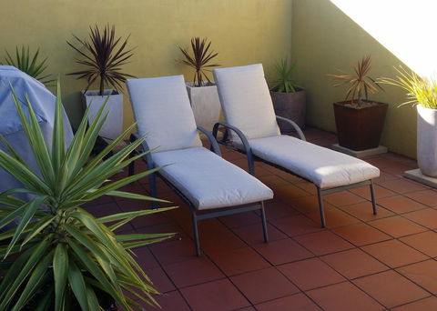 High On Penguin - Accommodation Sunshine Coast 1