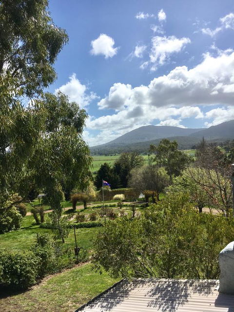 Highfield Cottage - Accommodation Sunshine Coast 3
