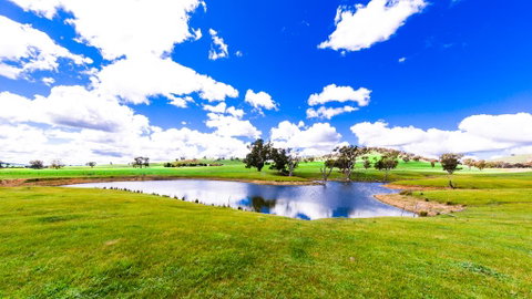 Hillview Farmstay - Accommodation Sunshine Coast 0
