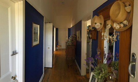 Ivy May Cottage - Accommodation Sunshine Coast 0