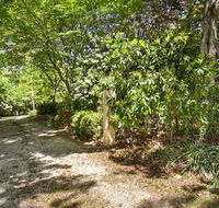 Jalscene - Accommodation Sunshine Coast