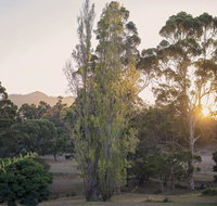 Karribank and the Karri On Bar - Accommodation Sunshine Coast