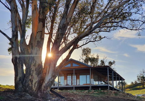 Kestrel Nest EcoHut - Accommodation Sunshine Coast 0