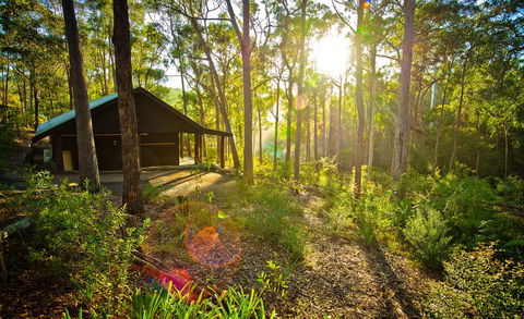 Kianinny Bush Cottages - Accommodation Sunshine Coast 0