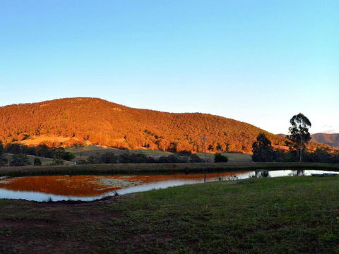 La Sila Homestead On Marrowbone - Cutest Cottage In The Hunter With Killer Views - Accommodation Sunshine Coast 1