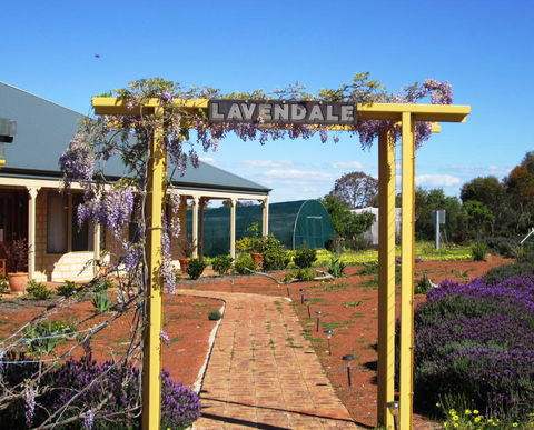 Lavendale Farmstay And Cottages York - Accommodation Sunshine Coast 0
