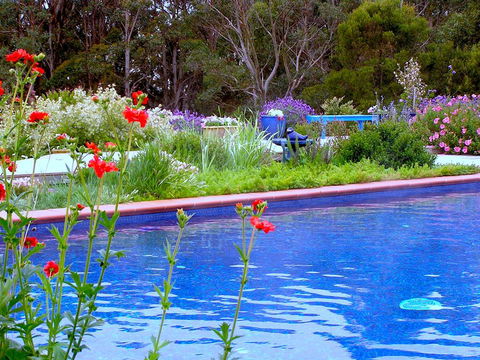 Lemonade Creek Cottages - Accommodation Sunshine Coast 0