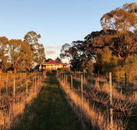 Lillicur Vineyard BB - Accommodation Sunshine Coast