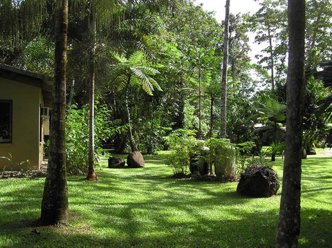 Lync Haven Rainforest Retreat - Accommodation Sunshine Coast 3