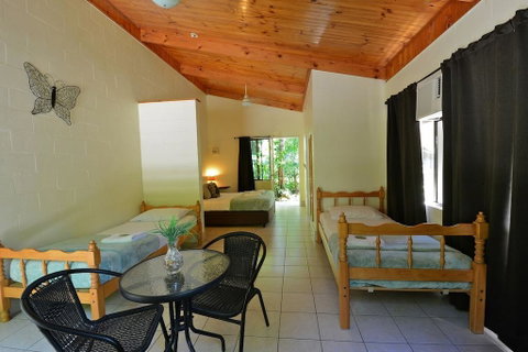 Lync Haven Rainforest Retreat - Accommodation Sunshine Coast 2