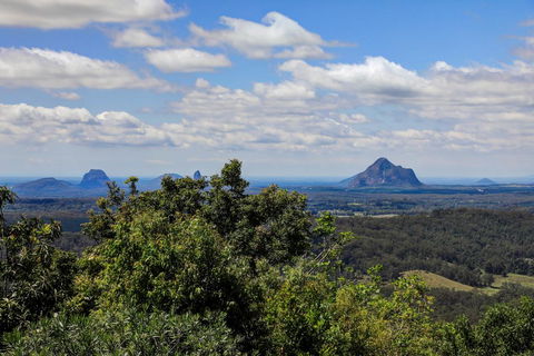 Magnolia - Accommodation Sunshine Coast 1
