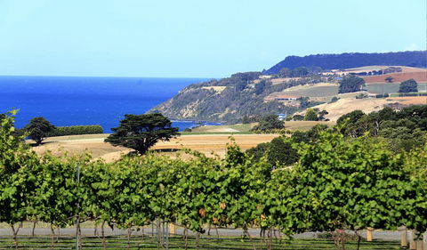 Mallavale Farm, Boat Harbour - Accommodation Sunshine Coast 0