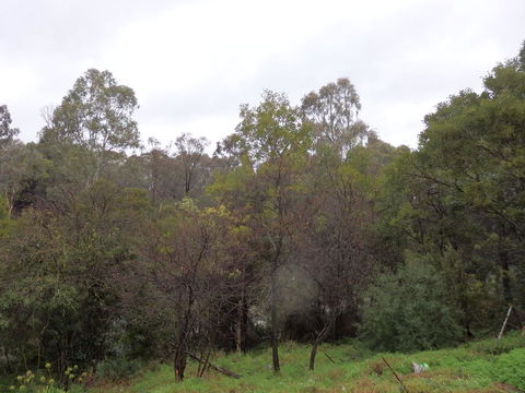 Mandall Avenue - Accommodation Sunshine Coast 2