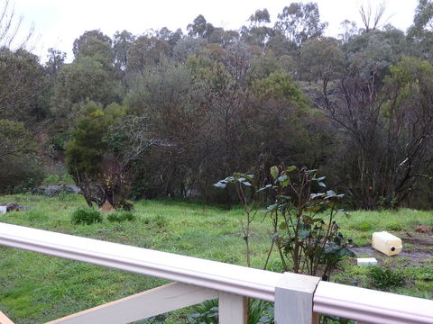 Mandall Avenue - Accommodation Sunshine Coast 1