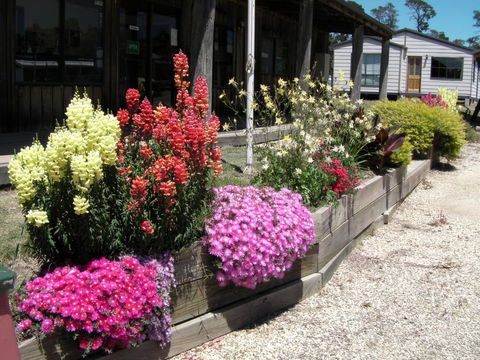 Mansfield Holiday Park - Accommodation Sunshine Coast 3