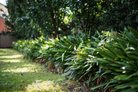 Merivale Motel - Accommodation Sunshine Coast 2