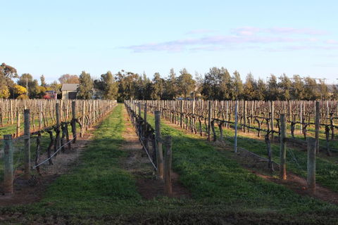 Milawa Vineyard Views - Guesthouse 1 - Accommodation Sunshine Coast 1