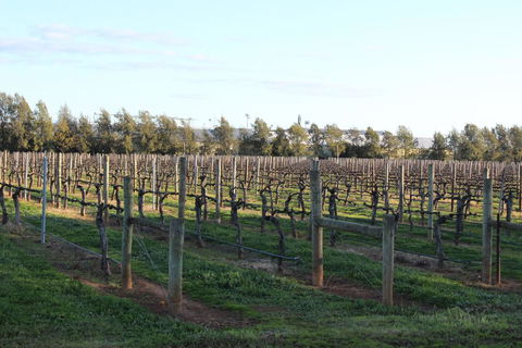 Milawa Vineyard Views - Guesthouse 2 - Accommodation Sunshine Coast 0