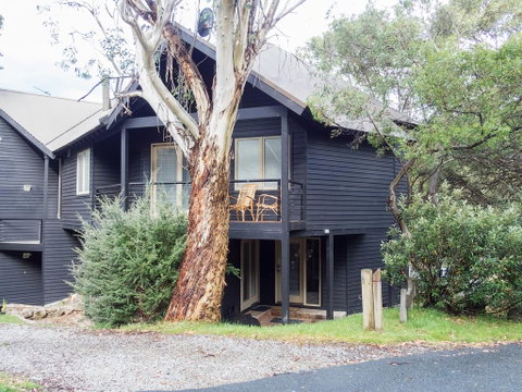 Milkwood - Accommodation Sunshine Coast 0