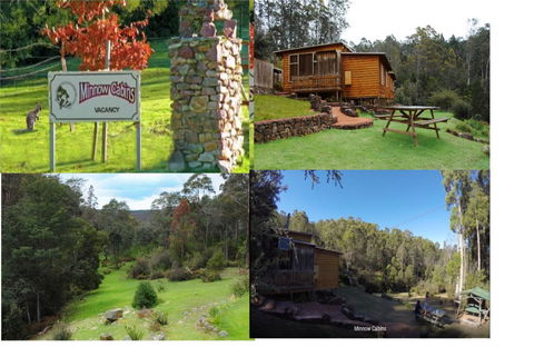 Minnow Cabins Lower Beulah - Accommodation Sunshine Coast 1
