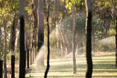 Mistover Valley Yallingup - Accommodation Sunshine Coast 1