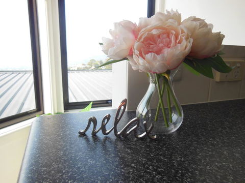 Modern Hobart Apartment With Stunning Views - Accommodation Sunshine Coast 0