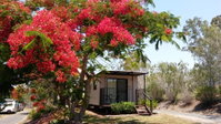 Book Mount Larcom Accommodation Vacations Accommodation Sunshine Coast Accommodation Sunshine Coast