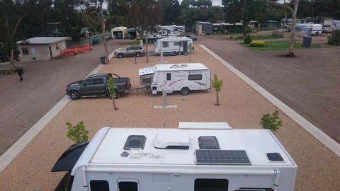 Murray Bridge Tourist Park - Accommodation Sunshine Coast 3