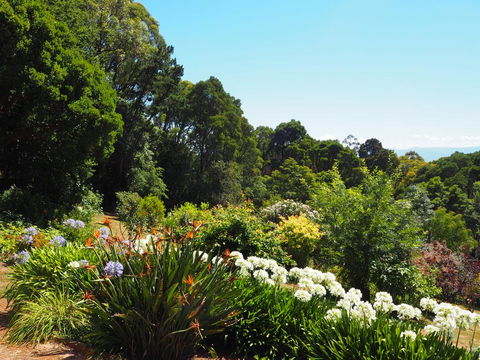Murrindindi - Accommodation Sunshine Coast 0