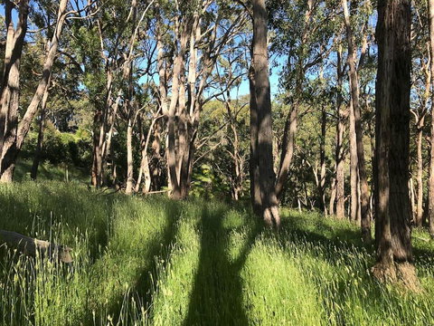 Mylor Farm, Adelaide Hills - Accommodation Sunshine Coast 0
