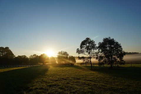 Narangba Motel (formerly Brisbane North B&B And Winery) - Accommodation Sunshine Coast 2
