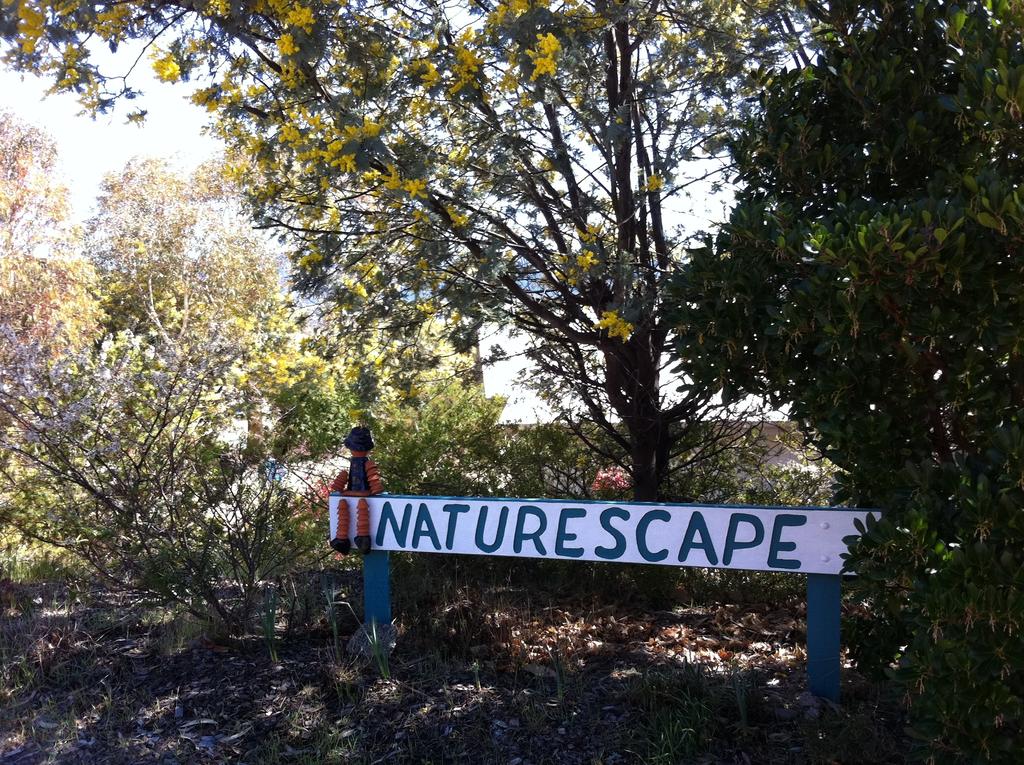Pilot Wilderness NSW Accommodation Sunshine Coast
