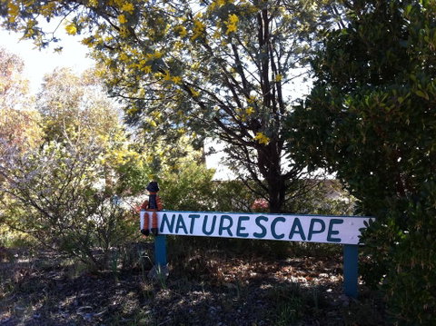 Naturescape - Accommodation Sunshine Coast 0