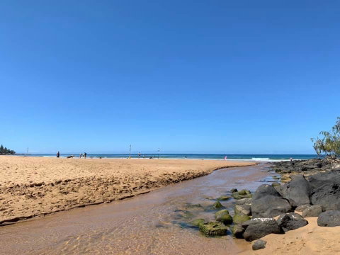 Nautilus Beachside Apartments - Accommodation Sunshine Coast 1