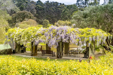 Grand Mercure Basildene Manor - Accommodation Sunshine Coast 7