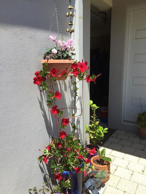 Lakeside Views - Accommodation Sunshine Coast 5