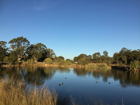 Lakeside Views - Accommodation Sunshine Coast 18